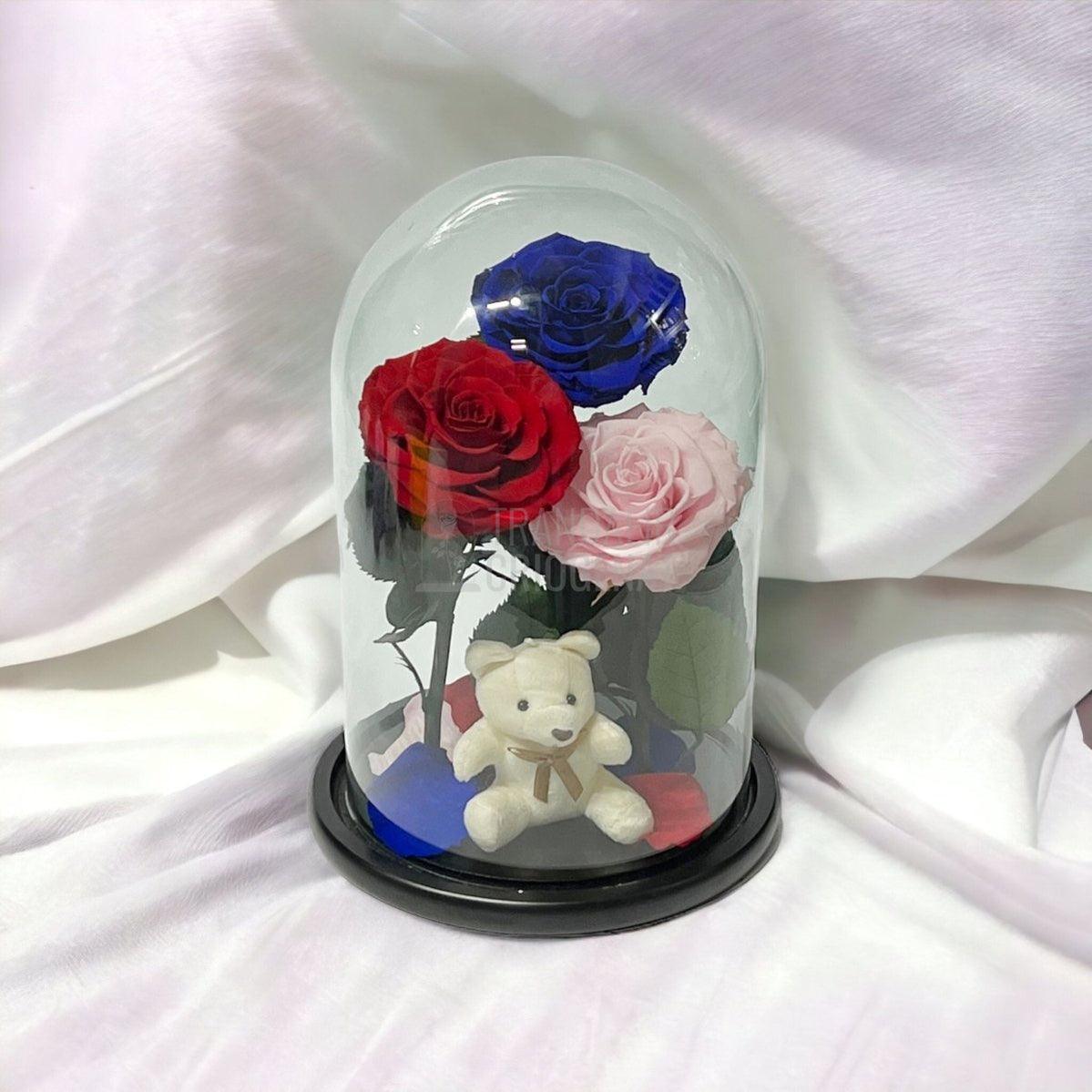 3 Trandafiri Criogenati mari, rosu, albastru, roz, cupola ursulet - Trandafir-Criogenat.ro