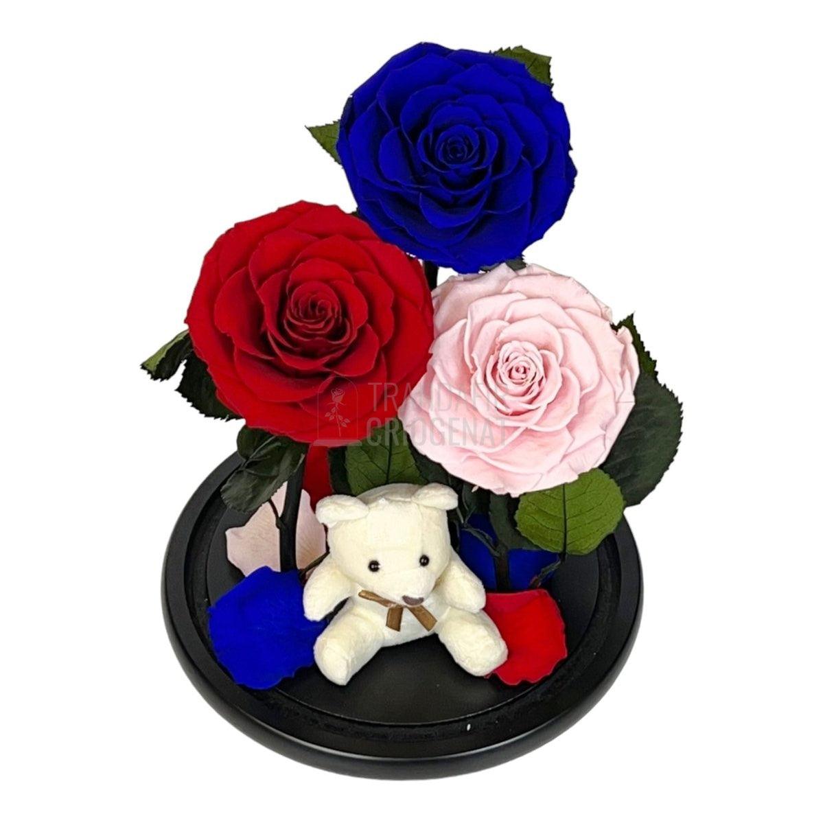 3 Trandafiri Criogenati mari, rosu, albastru, roz, cupola ursulet - Trandafir-Criogenat.ro