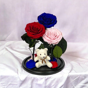 3 Trandafiri Criogenati mari, rosu, albastru, roz, cupola ursulet - Trandafir-Criogenat.ro