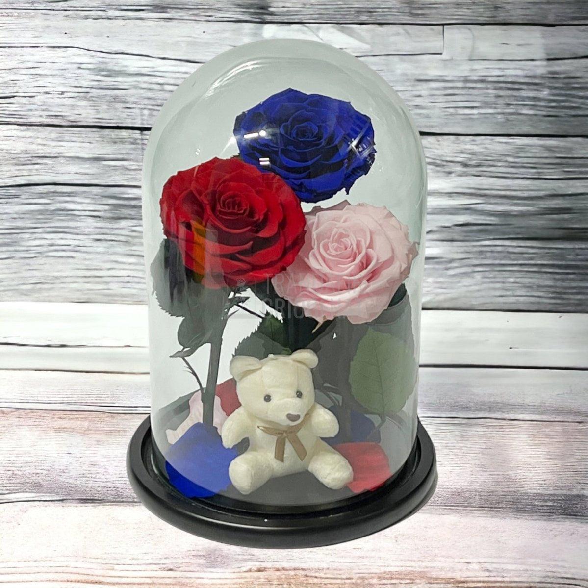3 Trandafiri Criogenati mari, rosu, albastru, roz, cupola ursulet - Trandafir-Criogenat.ro