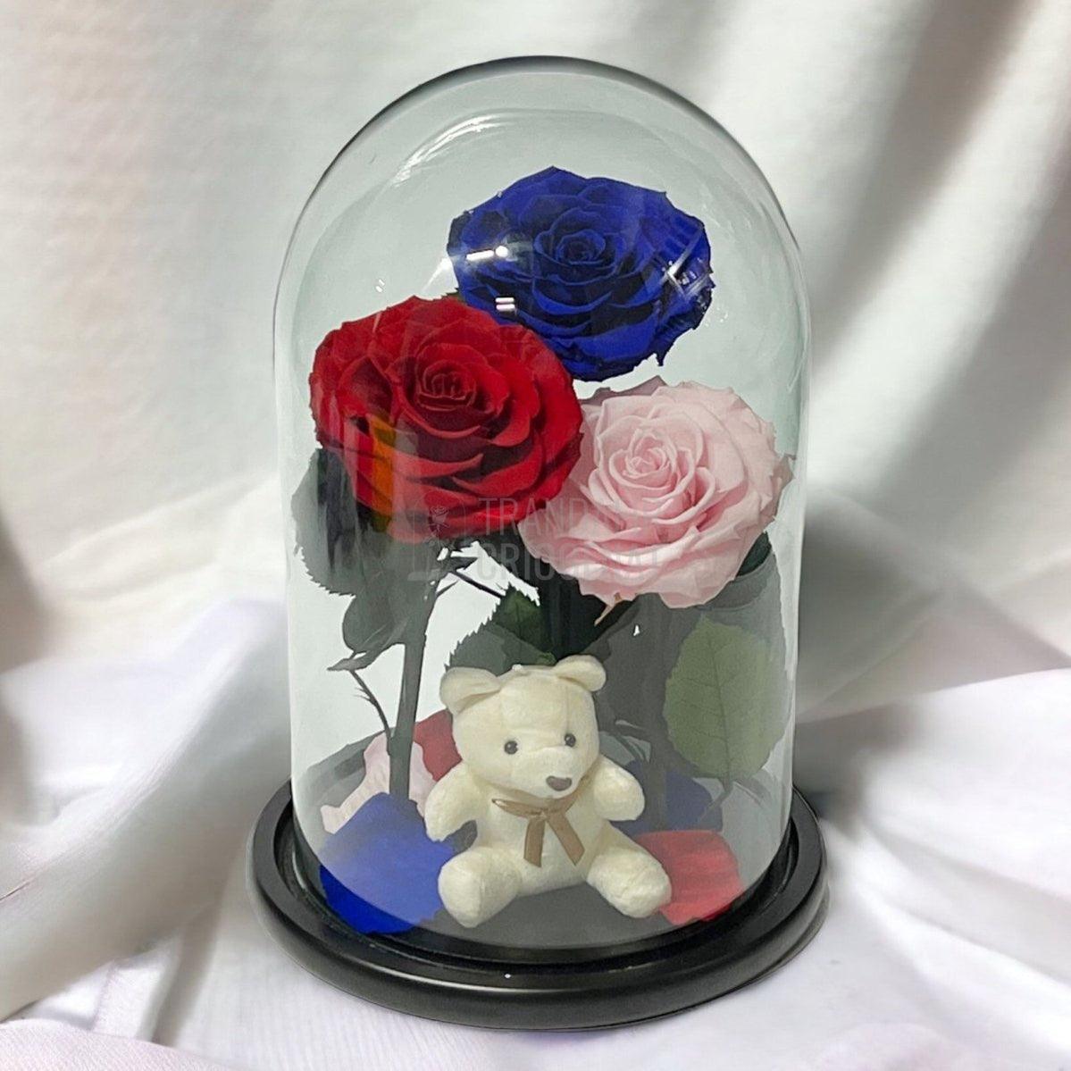 3 Trandafiri Criogenati mari, rosu, albastru, roz, cupola ursulet - Trandafir-Criogenat.ro