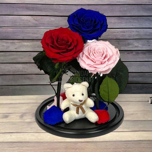 3 Trandafiri Criogenati mari, rosu, albastru, roz, cupola ursulet - Trandafir-Criogenat.ro