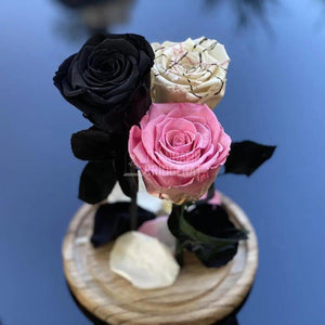 3 Trandafiri Criogenati negru, alb, roz Ø6,5cm, cupola 15x25cm - Trandafir-Criogenat.ro