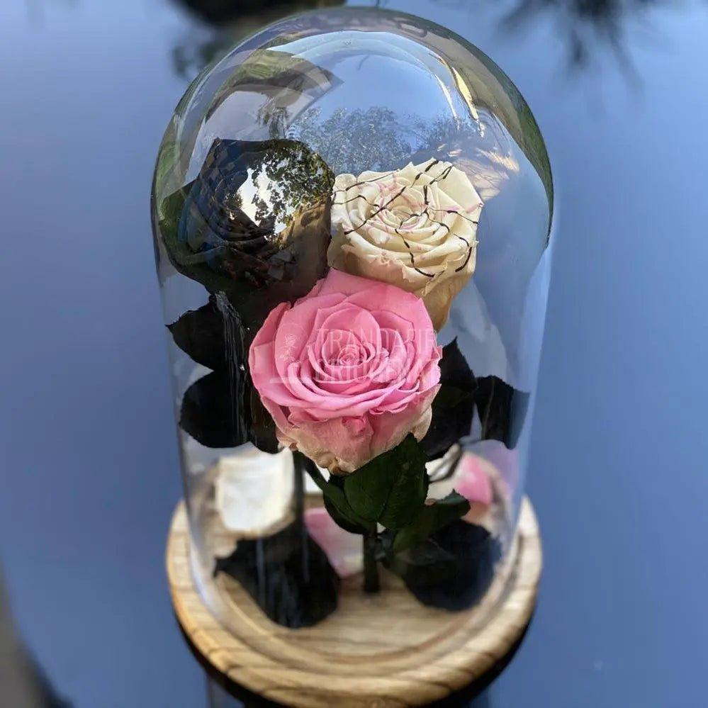 3 Trandafiri Criogenati negru, alb, roz Ø6,5cm, cupola 15x25cm - Trandafir-Criogenat.ro