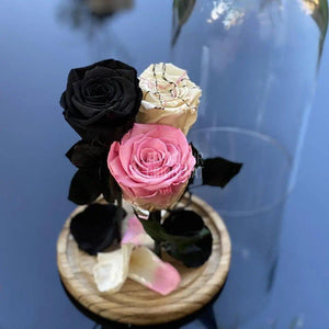 3 Trandafiri Criogenati negru, alb, roz Ø6,5cm, cupola 15x25cm - Trandafir-Criogenat.ro