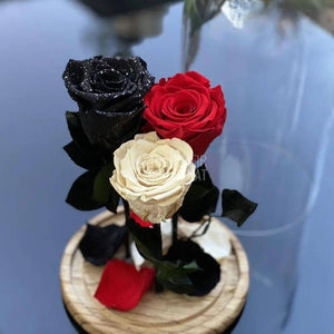 3 Trandafiri Criogenati negru, rosu, alb Ø6,5cm 15x25cm - Trandafir-Criogenat.ro