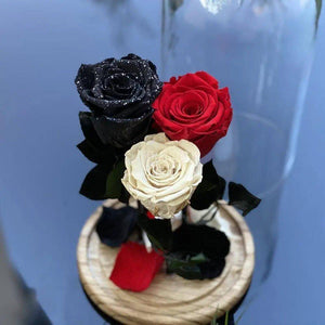 3 Trandafiri Criogenati negru, rosu, alb Ø6,5cm 15x25cm - Trandafir-Criogenat.ro
