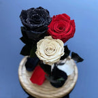 3 Trandafiri Criogenati negru, rosu, alb Ø6,5cm 15x25cm - Trandafir-Criogenat.ro
