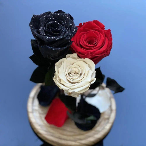 3 Trandafiri Criogenati negru, rosu, alb Ø6,5cm 15x25cm - Trandafir-Criogenat.ro