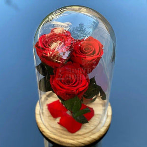 3 Trandafiri Criogenati rosii Ø6,5cm in cupola de sticla 15x25cm - Trandafir-Criogenat.ro