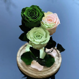 3 Trandafiri Criogenati verde cu multicolor Ø6,5cm 15x25cm - Trandafir-Criogenat.ro