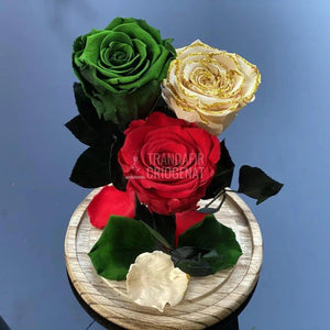 3 Trandafiri Criogenati verde, rosu, crem Ø6,5cm 15x25cm - Trandafir-Criogenat.ro
