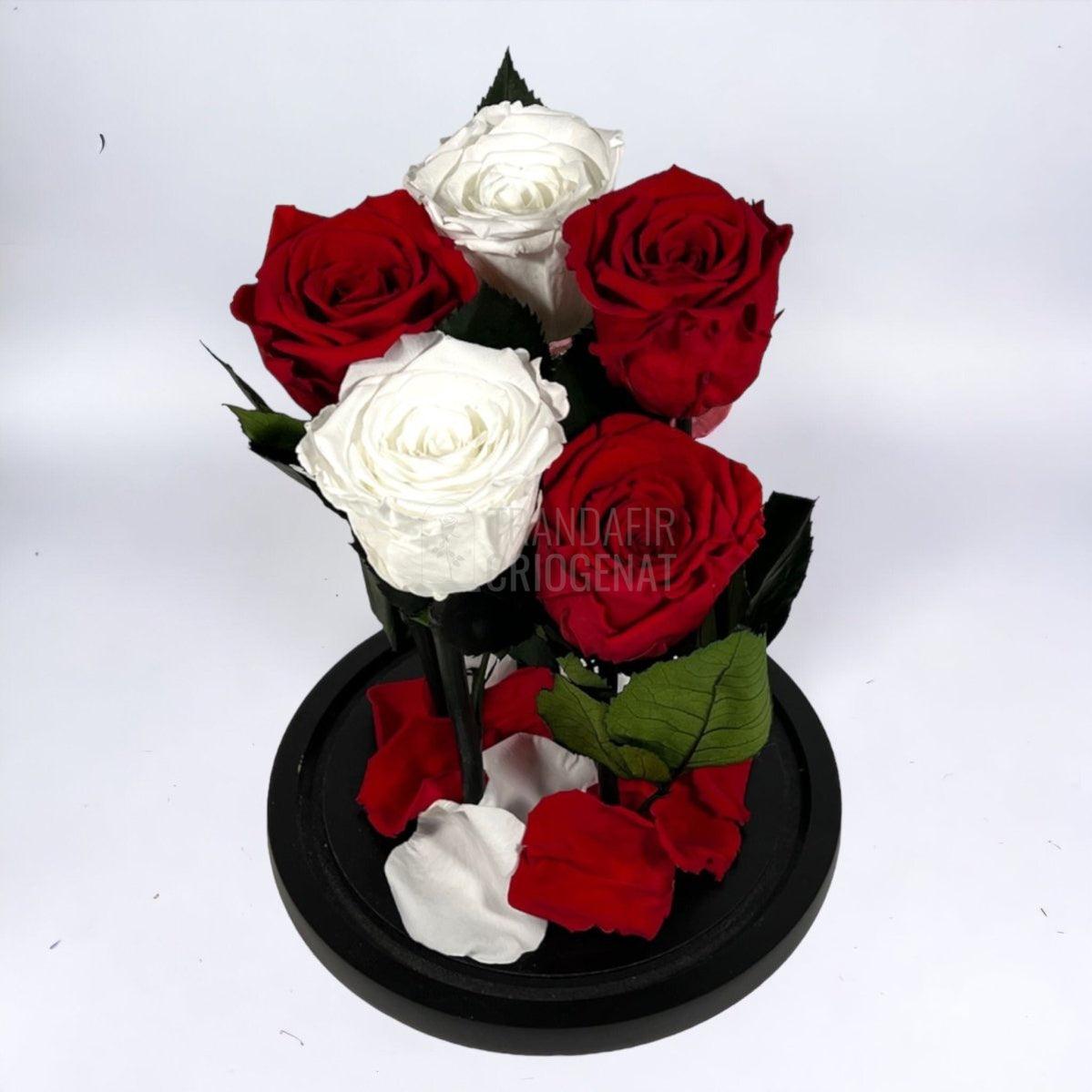 5 Trandafiri Criogenati 3 rosii, 2 albi (orice mix de culori la alegere) - Trandafir-Criogenat.ro