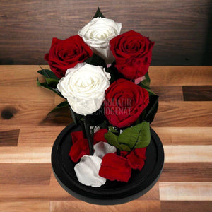 5 Trandafiri Criogenati 3 rosii, 2 albi (orice mix de culori la alegere) - Trandafir-Criogenat.ro