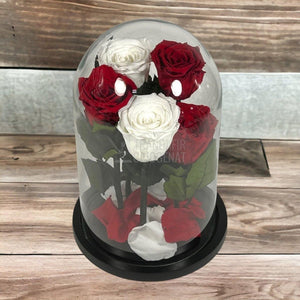 5 Trandafiri Criogenati 3 rosii, 2 albi (orice mix de culori la alegere) - Trandafir-Criogenat.ro