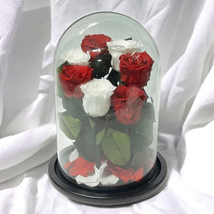 7 Trandafiri Criogenati 4 rosii, 3 albi (orice mix de culori la alegere) - Trandafir-Criogenat.ro