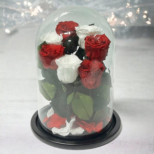 7 Trandafiri Criogenati 4 rosii, 3 albi (orice mix de culori la alegere) - Trandafir-Criogenat.ro