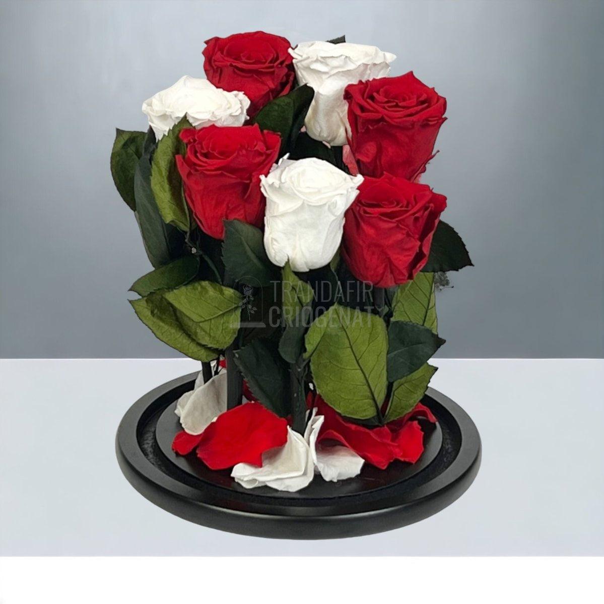 7 Trandafiri Criogenati 4 rosii, 3 albi (orice mix de culori la alegere) - Trandafir-Criogenat.ro