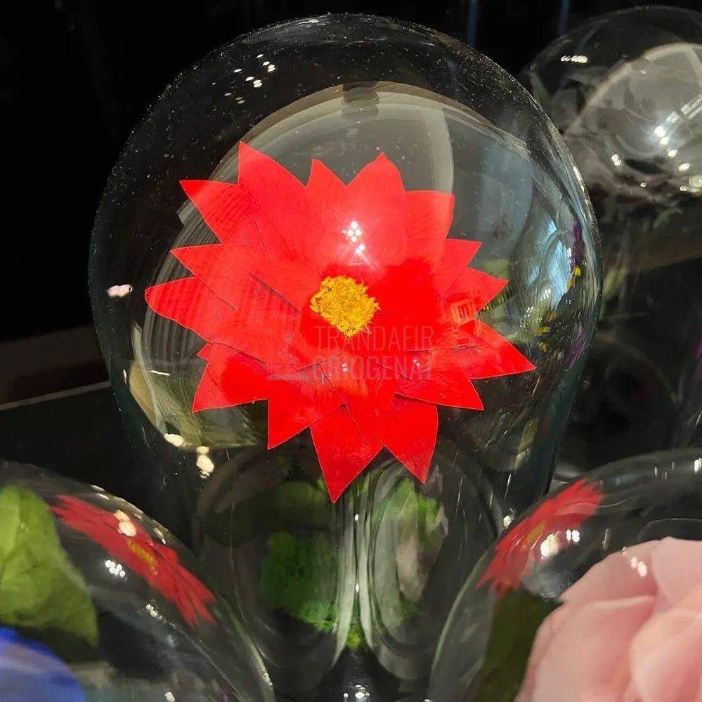 Craciunita Criogenata cu diametru Ø10cm in cupola sticla 15x25cm - Trandafir-Criogenat.ro