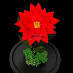 Craciunita Criogenata cu diametru Ø10cm in cupola sticla 15x25cm - Trandafir-Criogenat.ro