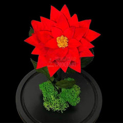 Craciunita Criogenata cu diametru Ø10cm in cupola sticla 15x25cm - Trandafir-Criogenat.ro