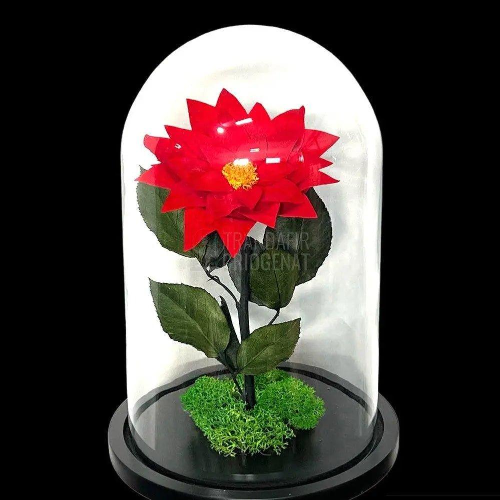 Craciunita Criogenata cu diametru Ø10cm in cupola sticla 15x25cm - Trandafir-Criogenat.ro