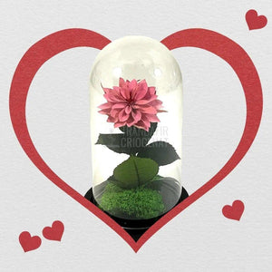 Dalia Criogenata mov-pudrat in cupola de sticla, cu mesaj - Trandafir-Criogenat.ro