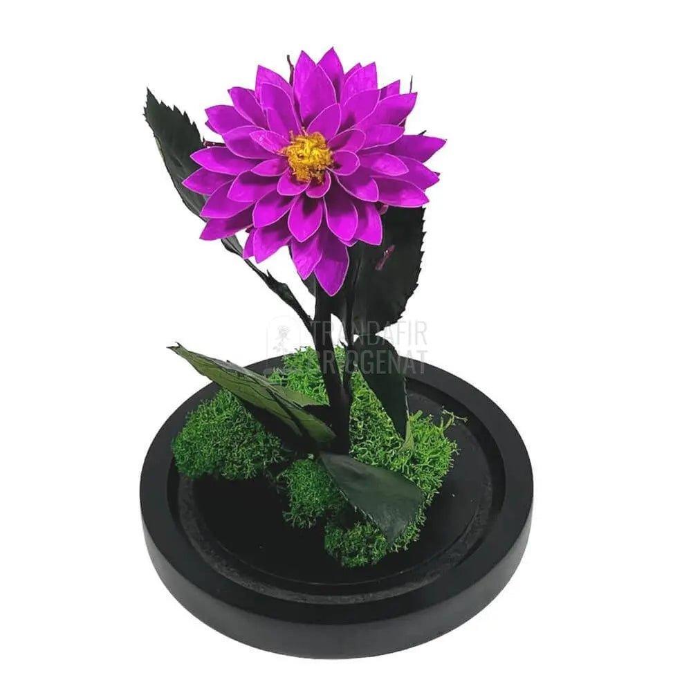 Dalia Criogenata purpuriu in cupola de sticla, cu mesaj - Trandafir-Criogenat.ro