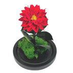 Dalia Criogenata rosie in cupola de sticla, cu mesaj - Trandafir-Criogenat.ro