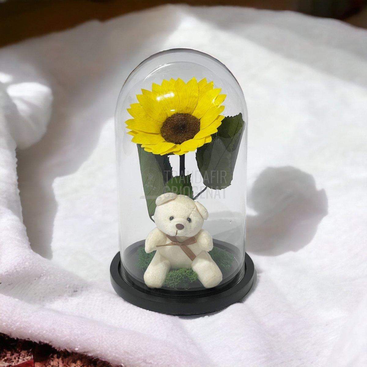 Floarea Soarelui Criogenata diametru 10-12cm in cupola cu Ursulet - Trandafir-Criogenat.ro