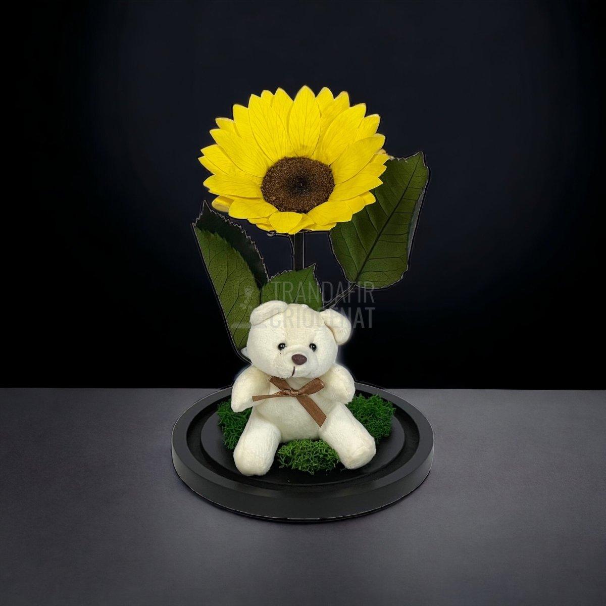 Floarea Soarelui Criogenata diametru 10-12cm in cupola cu Ursulet - Trandafir-Criogenat.ro