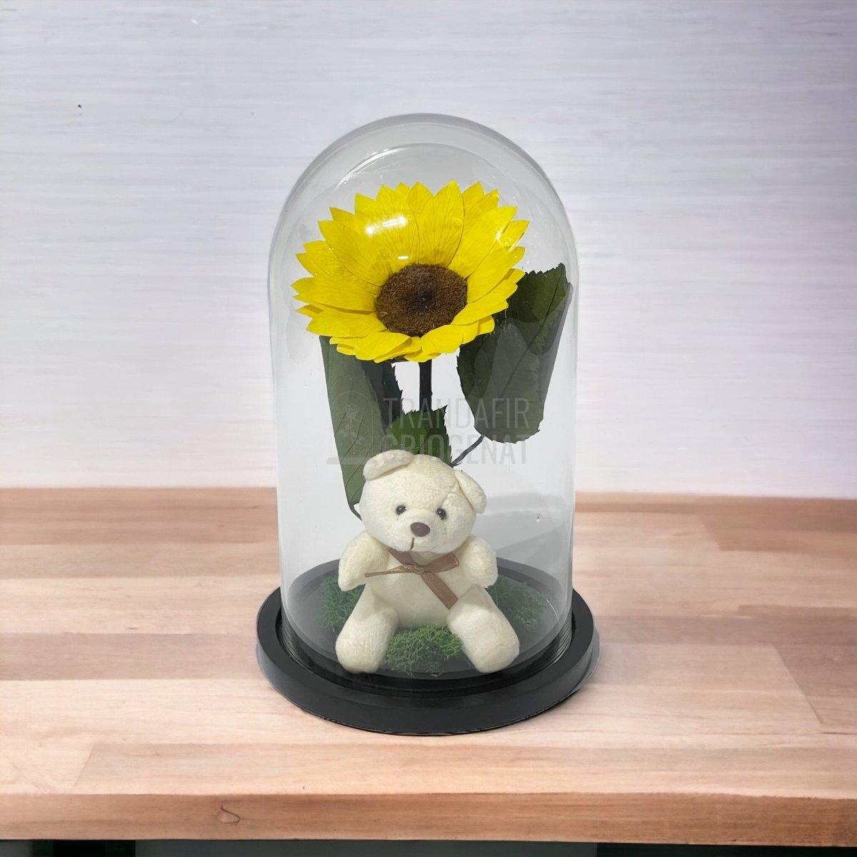 Floarea Soarelui Criogenata diametru 10-12cm in cupola cu Ursulet - Trandafir-Criogenat.ro
