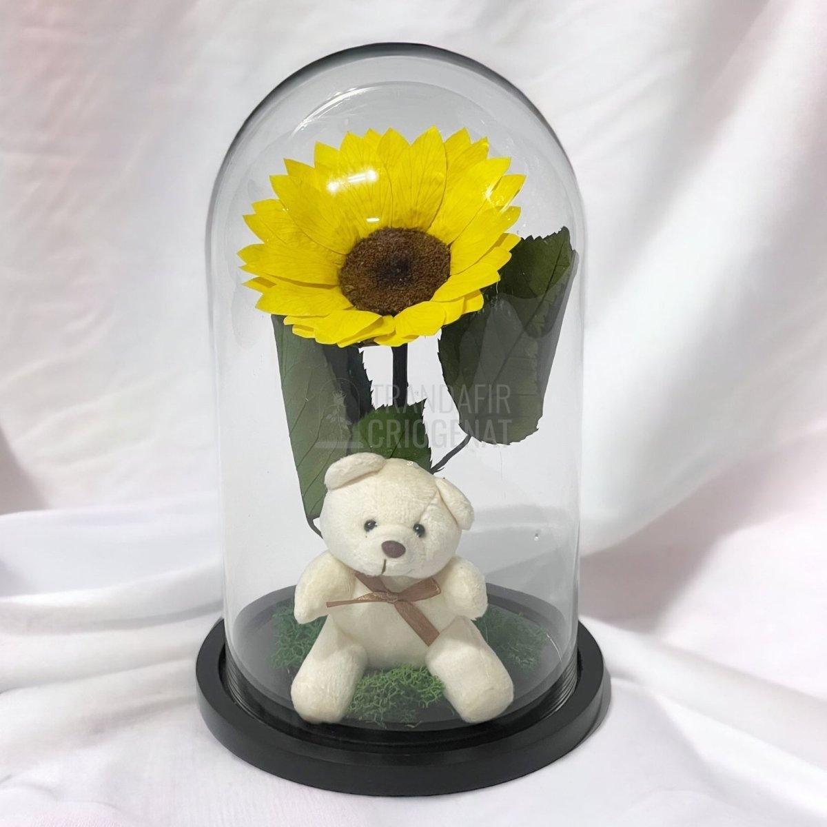 Floarea Soarelui Criogenata diametru 10-12cm in cupola cu Ursulet - Trandafir-Criogenat.ro