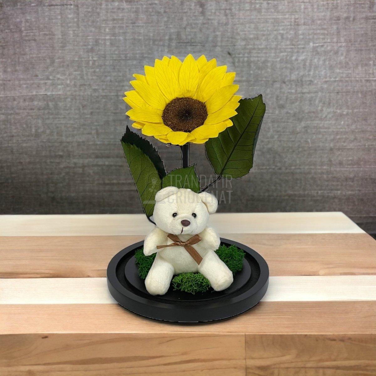 Floarea Soarelui Criogenata diametru 10-12cm in cupola cu Ursulet - Trandafir-Criogenat.ro