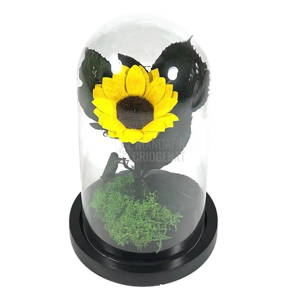 Floarea Soarelui Criogenata Ø6cm in cupola sticla 10x20cm - Trandafir-Criogenat.ro