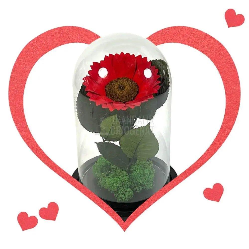 Floarea Soarelui Criogenata rosie Ø10-12cm in cupola sticla - Trandafir-Criogenat.ro