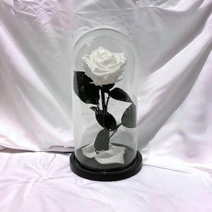 Trandafir Criogenat alb Ø8cm in cupola de sticla, cu mesaj - Trandafir-Criogenat.ro