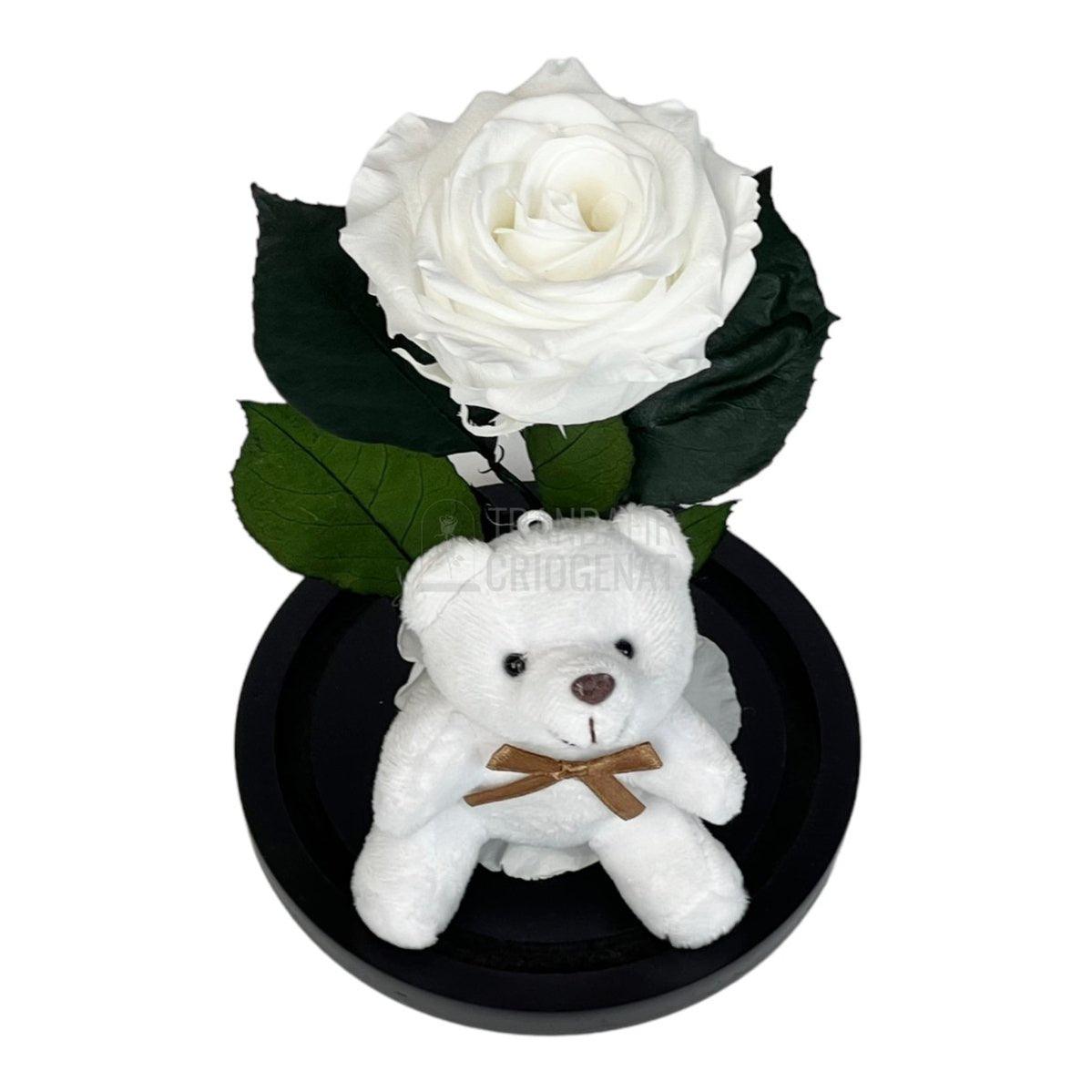 Trandafir Criogenat alb Ø8cm in cupola de sticla cu Ursulet - Trandafir-Criogenat.ro