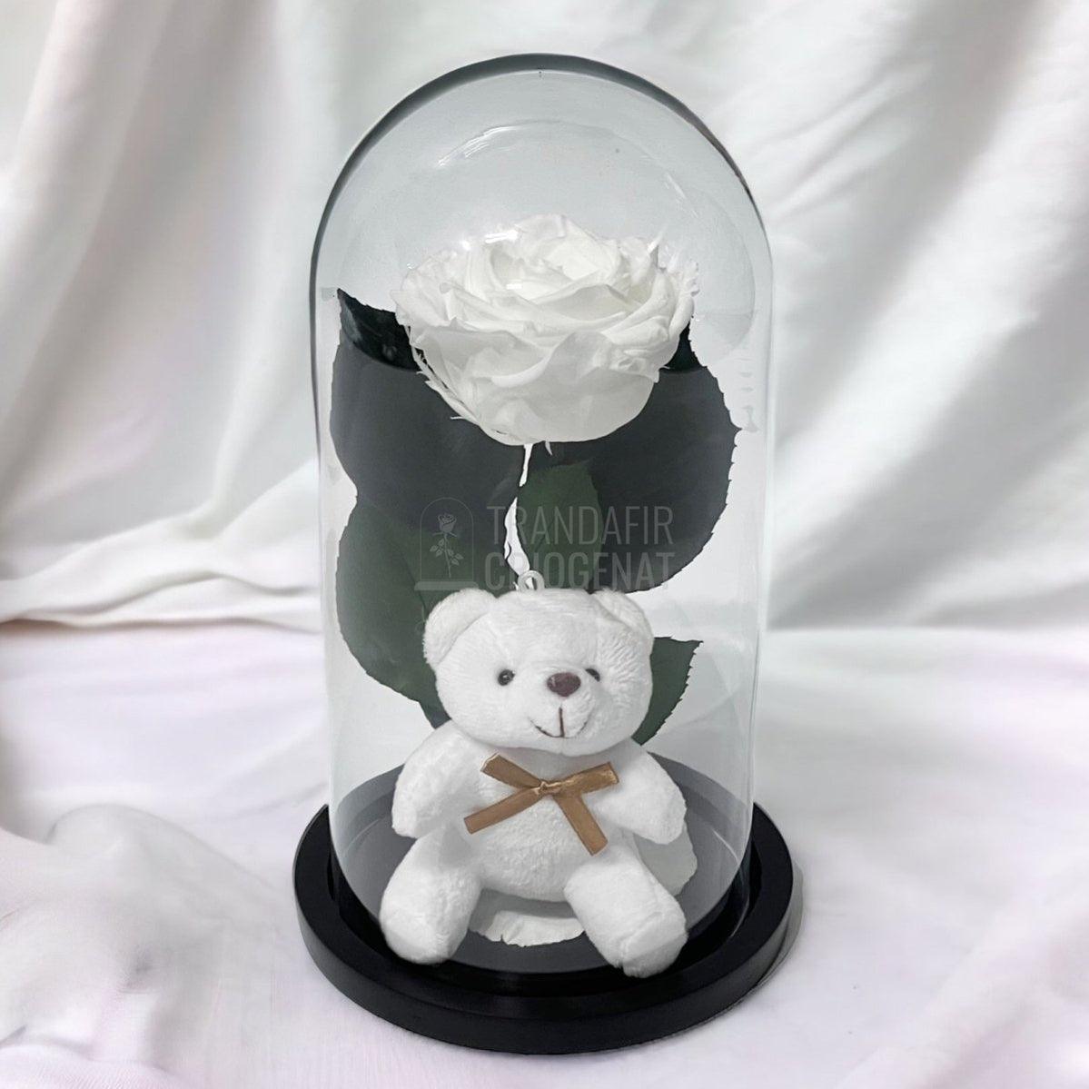 Trandafir Criogenat alb Ø8cm in cupola de sticla cu Ursulet - Trandafir-Criogenat.ro