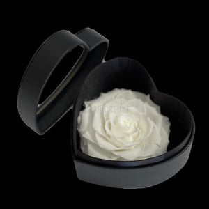 Trandafir Criogenat alb Ø9cm in cutie inima 13x13x8cm - Trandafir-Criogenat.ro