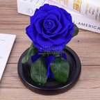 Trandafir Criogenat albastru bella Ø8cm in cupola 12x25cm - Trandafir-Criogenat.ro