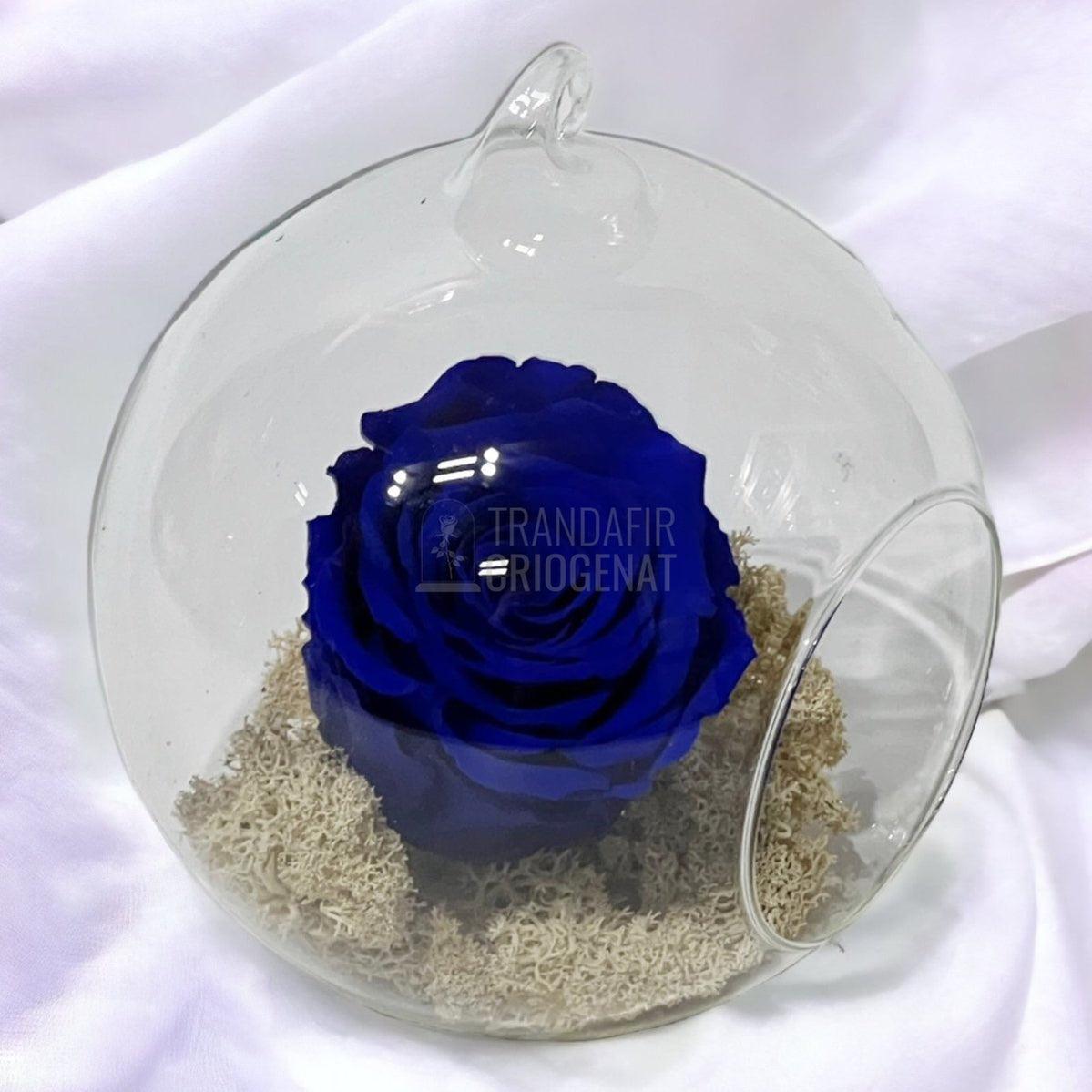 Trandafir Criogenat albastru in glob de sticla Ø12cm - Trandafir-Criogenat.ro
