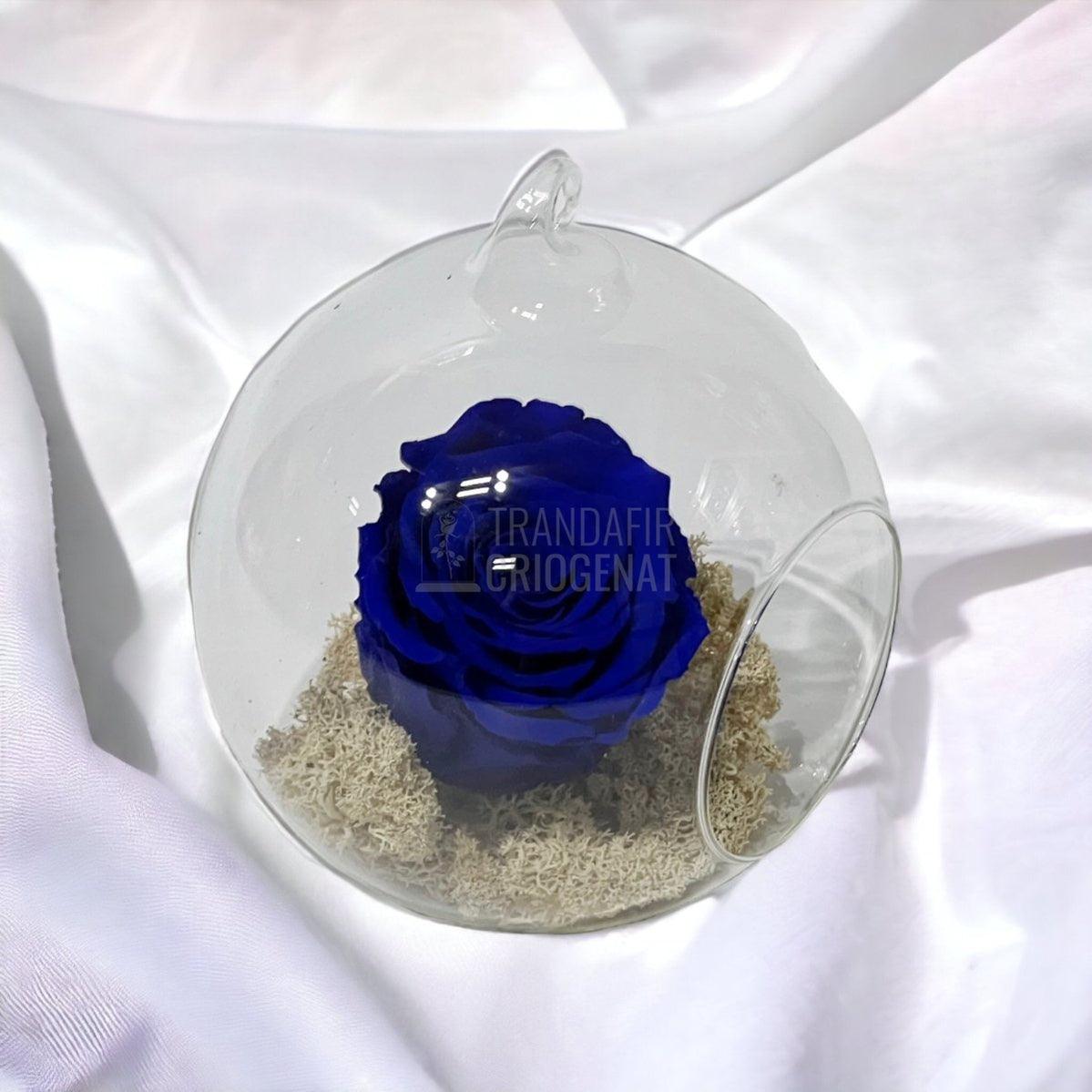 Trandafir Criogenat albastru in glob de sticla Ø12cm - Trandafir-Criogenat.ro