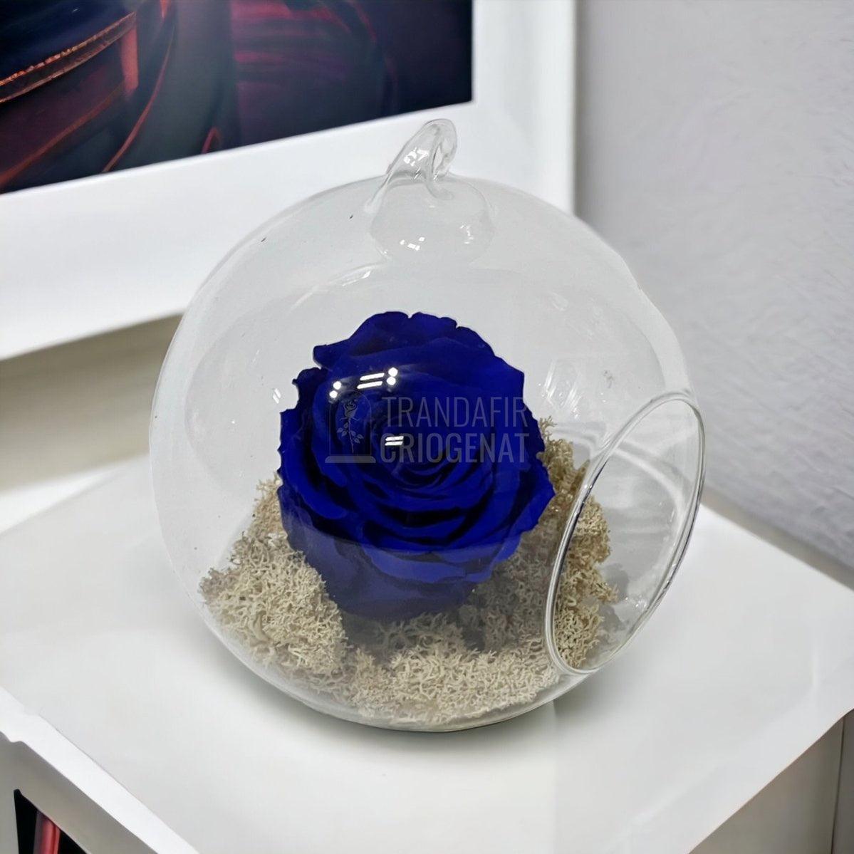 Trandafir Criogenat albastru in glob de sticla Ø12cm - Trandafir-Criogenat.ro