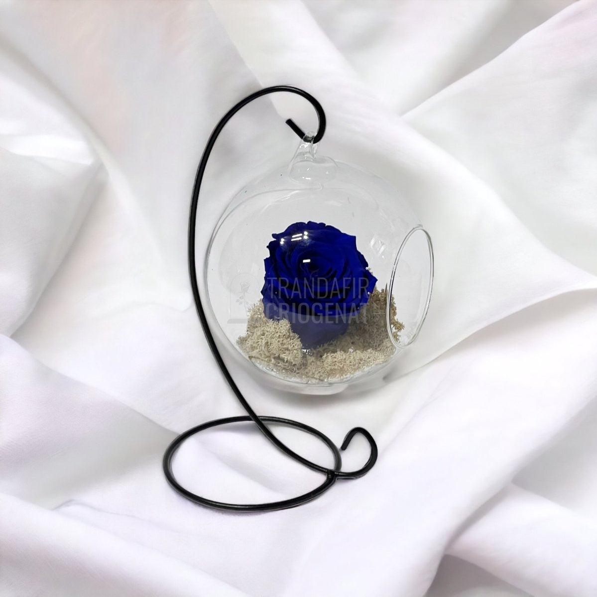 Trandafir Criogenat albastru in glob sticla suspendat Ø12cm - Trandafir-Criogenat.ro