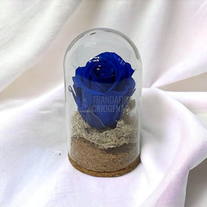 Trandafir Criogenat albastru inchis in cupola sticla 5x9,5cm (marturie) - Trandafir-Criogenat.ro