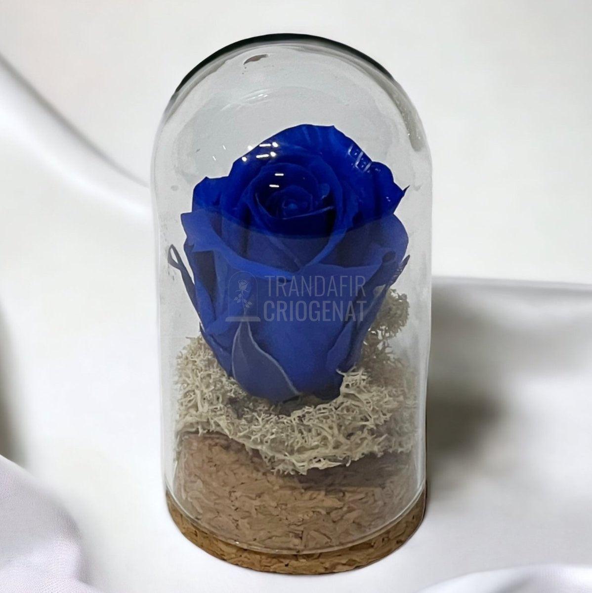 Trandafir Criogenat albastru inchis in cupola sticla 5x9,5cm (marturie) - Trandafir-Criogenat.ro