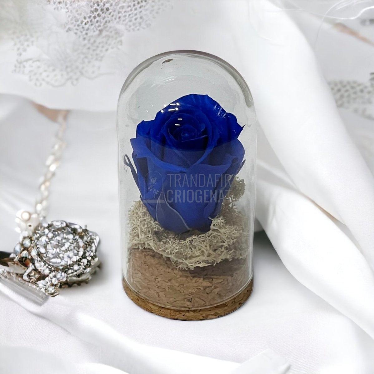 Trandafir Criogenat albastru inchis in cupola sticla 5x9,5cm (marturie) - Trandafir-Criogenat.ro