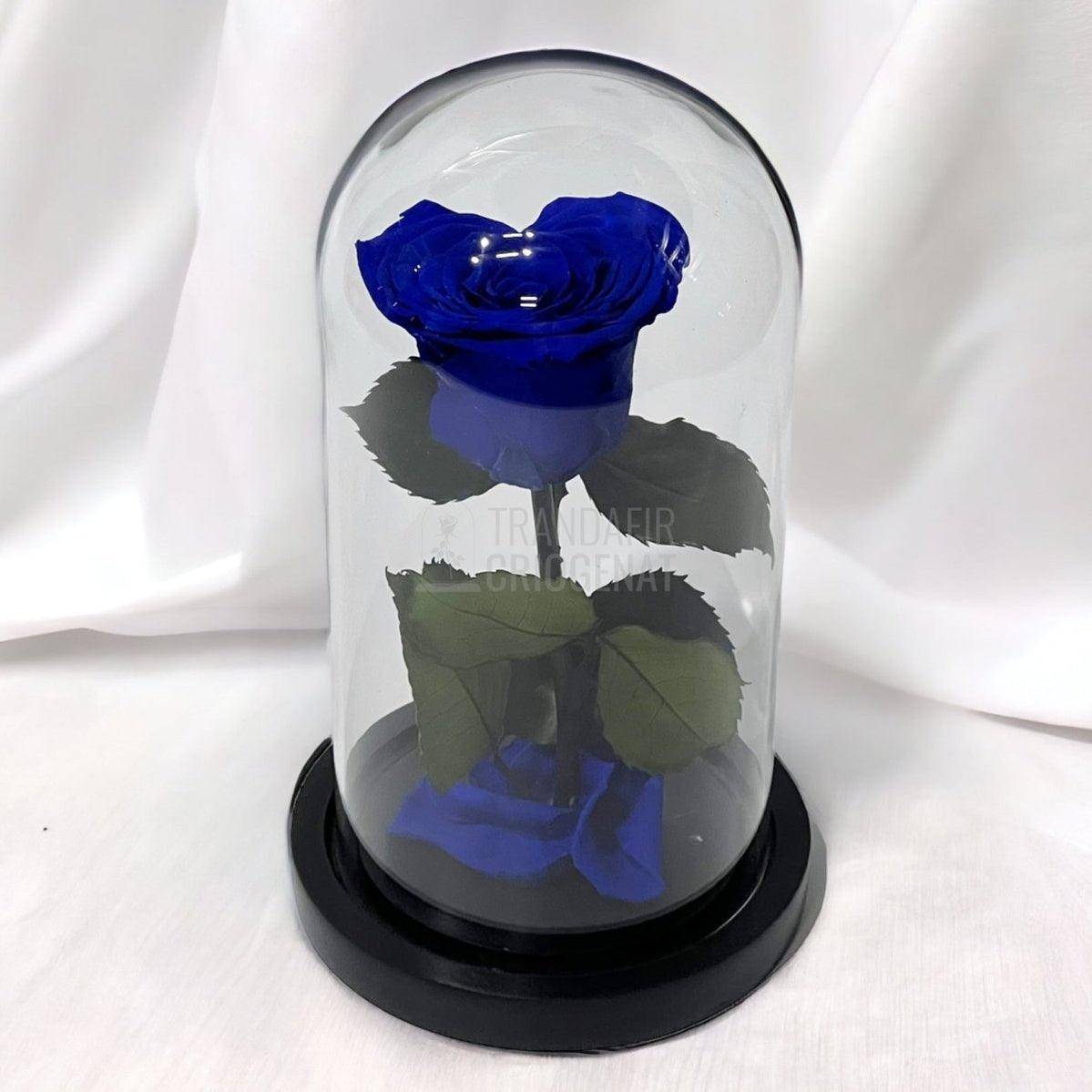 Trandafir Criogenat albastru inima Ø8cm in cupola de sticla - Trandafir-Criogenat.ro