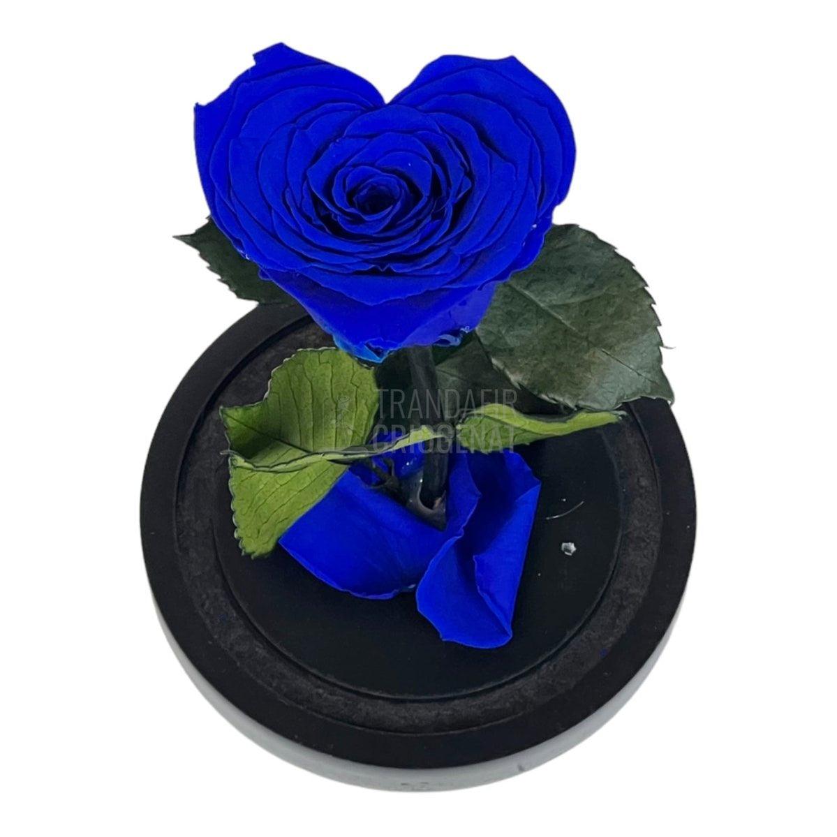 Trandafir Criogenat albastru inima Ø8cm in cupola de sticla - Trandafir-Criogenat.ro
